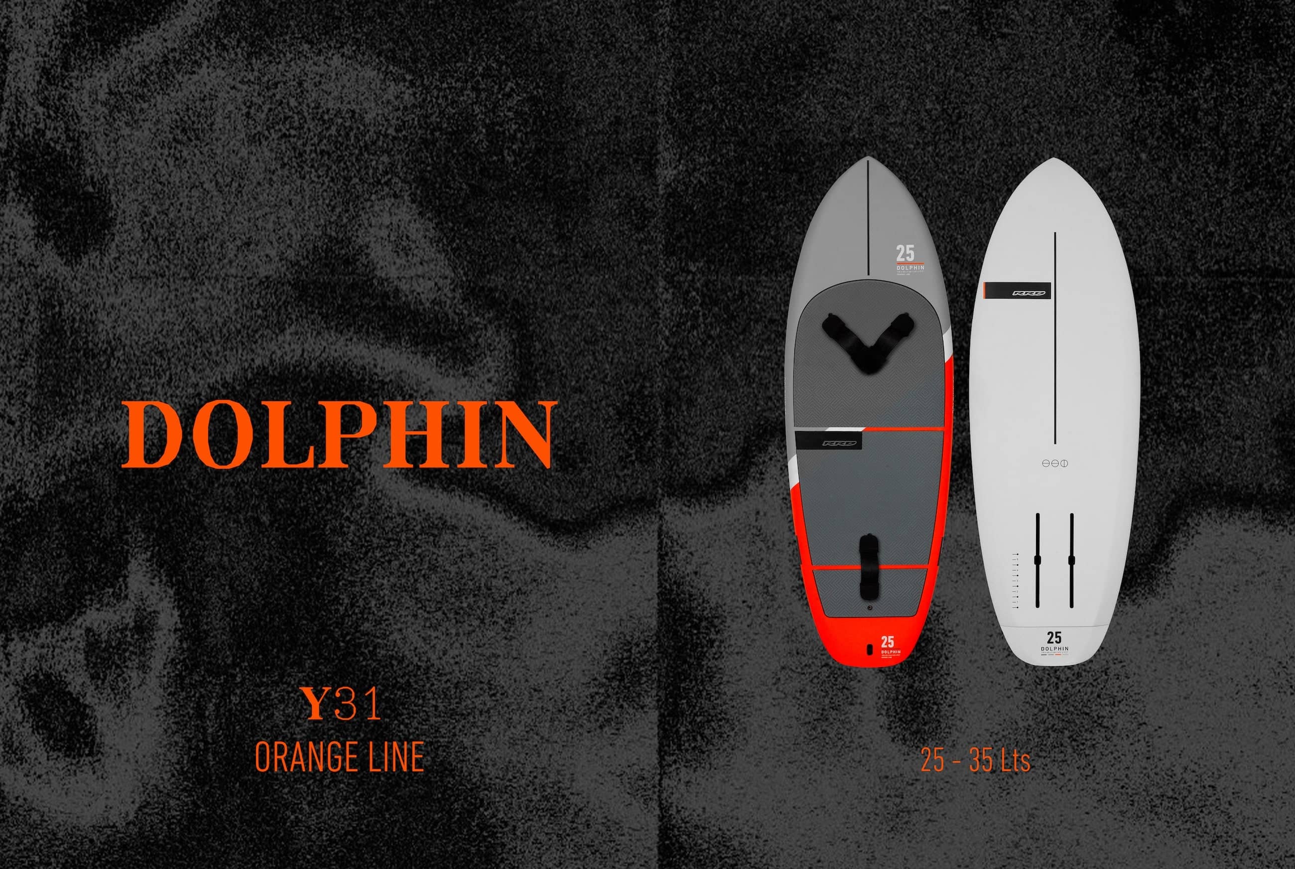 Dolphin Y31 1